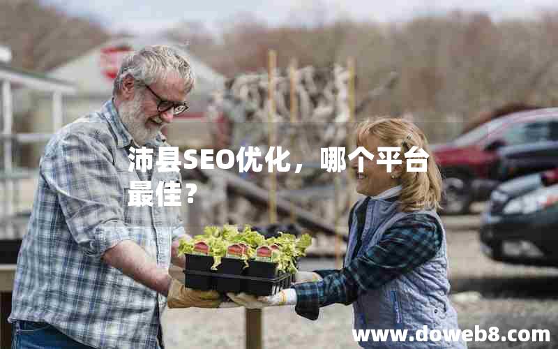 沛县SEO优化，哪个平台最佳？(沛县seo优化,哪个平台最佳？)