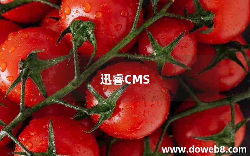 迅睿CMS