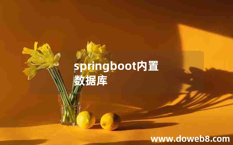 springboot内置数据库