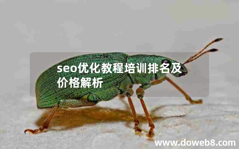 seo优化教程培训排名及价格解析