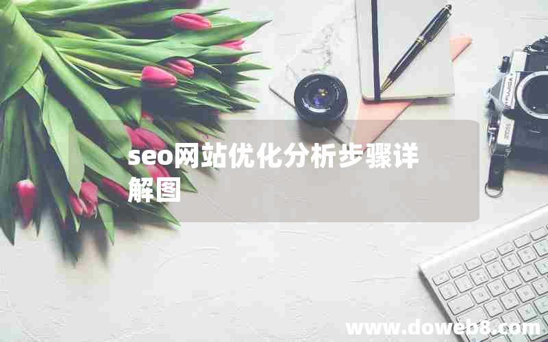 seo网站优化分析步骤详解图