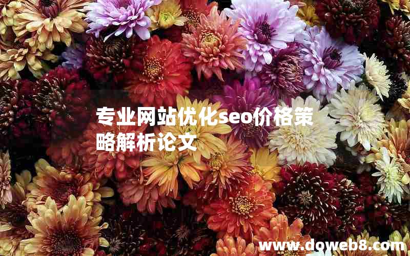 专业网站优化seo价格策略解析论文