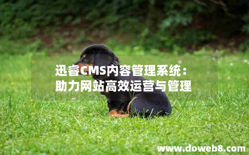 迅睿CMS内容管理系统：助力网站高效运营与管理