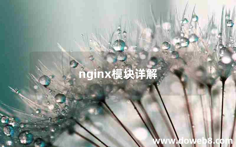 nginx模块详解