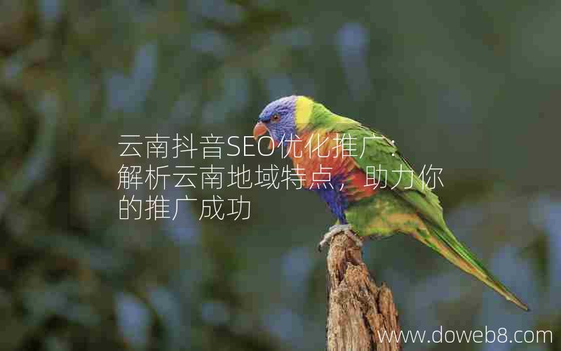 云南抖音SEO优化推广：解析云南地域特点，助力你的推广成功