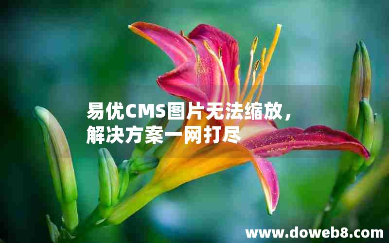 易优CMS图片无法缩放，解决方案一网打尽