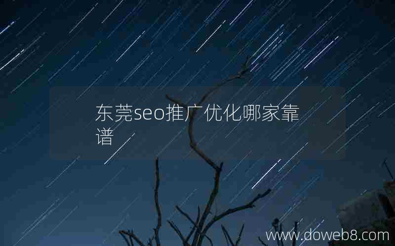 东莞seo推广优化哪家靠谱