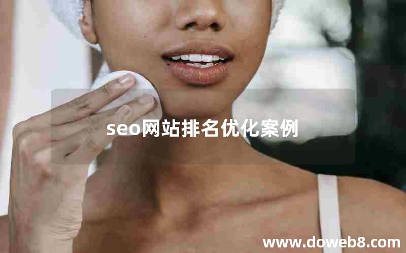 seo网站排名优化案例