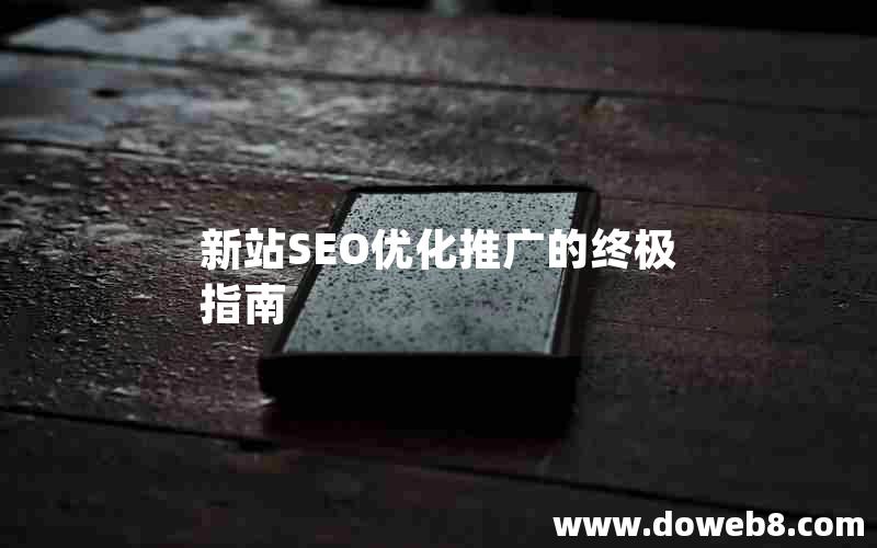 新站SEO优化推广的终极指南