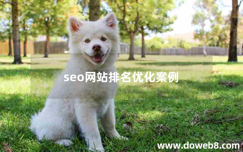 seo网站排名优化案例