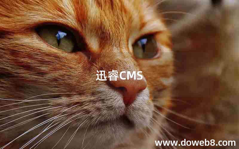 迅睿CMS