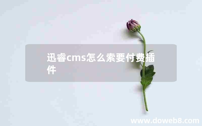 迅睿cms怎么索要付费插件