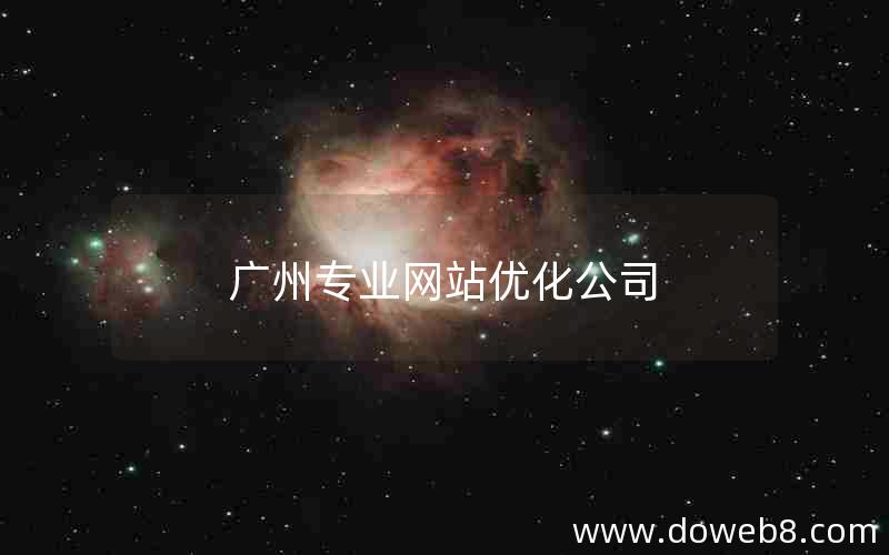 广州专业网站优化公司