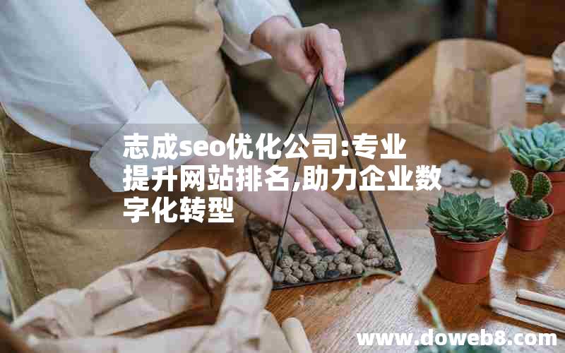 志成seo优化公司:专业提升网站排名,助力企业数字化转型