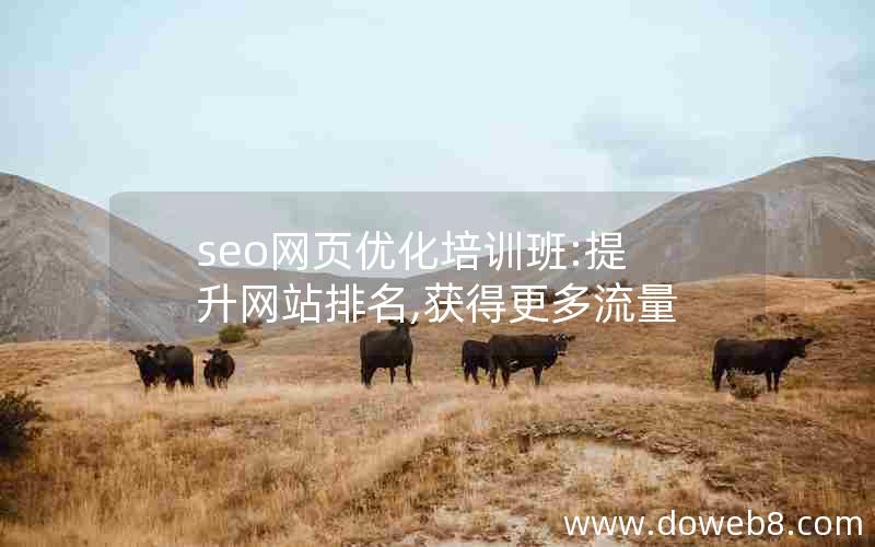 seo网页优化培训班:提升网站排名,获得更多流量