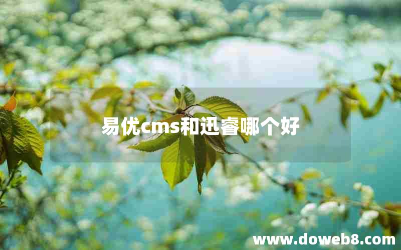 易优cms和迅睿哪个好