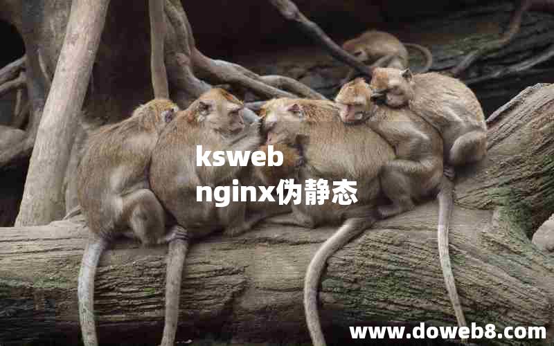 ksweb nginx伪静态