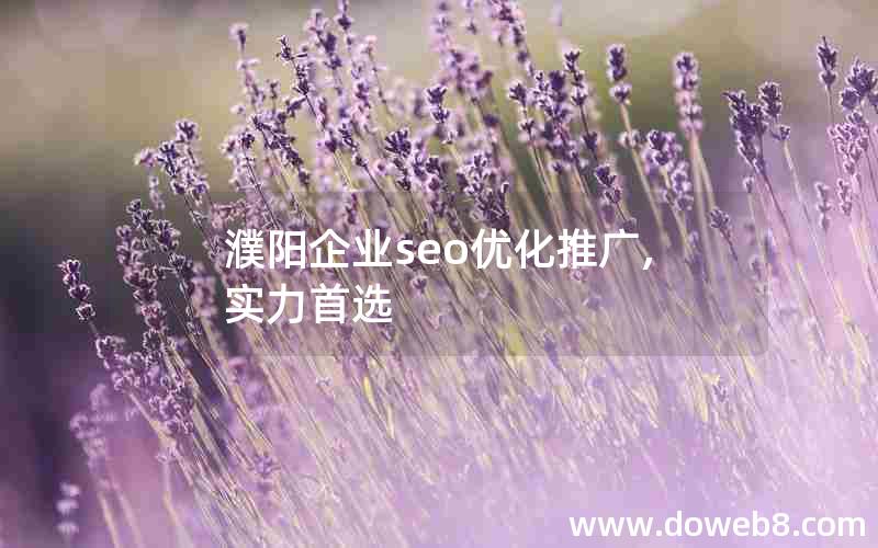 濮阳企业seo优化推广,实力首选