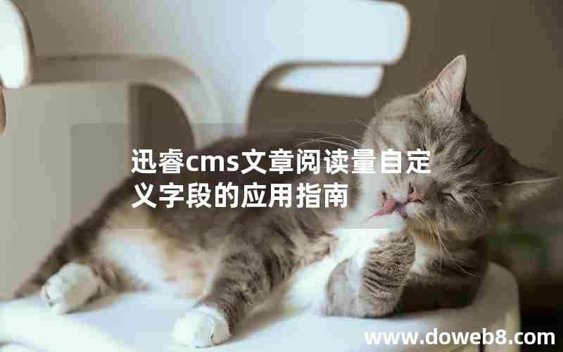 迅睿cms文章阅读量自定义字段的应用指南