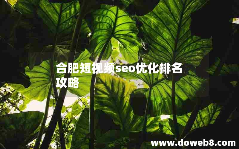 合肥短视频seo优化排名攻略