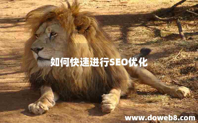 如何快速进行SEO优化(如何快速进行seo优化)