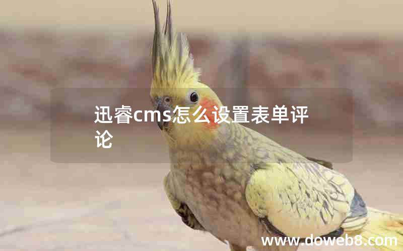 迅睿cms怎么设置表单评论