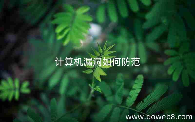 计算机漏洞如何防范