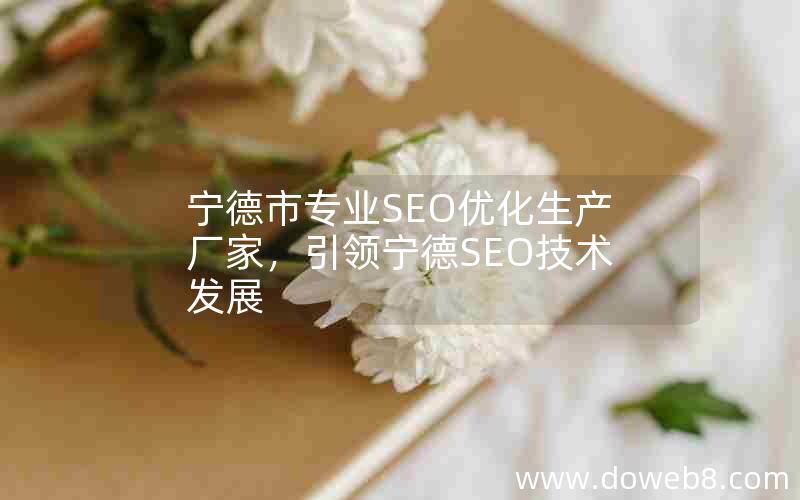 宁德市专业SEO优化生产厂家，引领宁德SEO技术发展