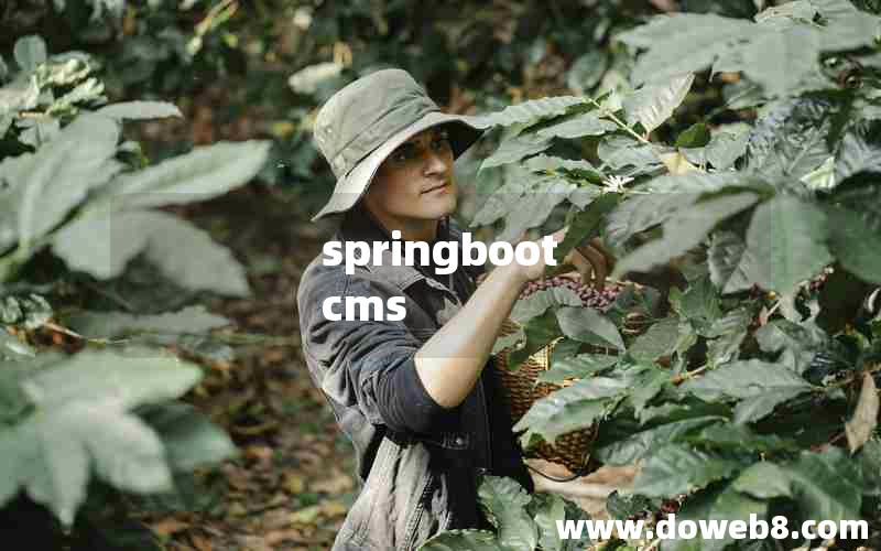 springboot cms