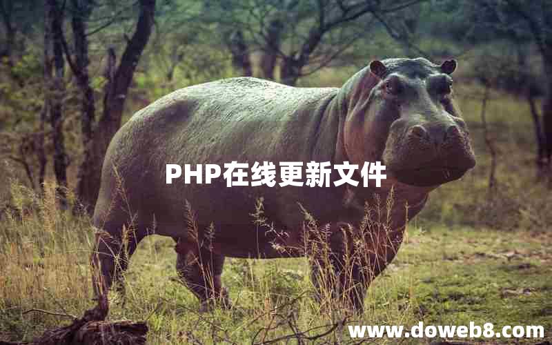 PHP在线更新文件