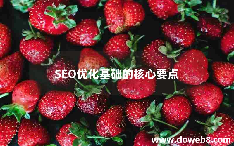 SEO优化基础的核心要点(seo优化基础的核心要点)