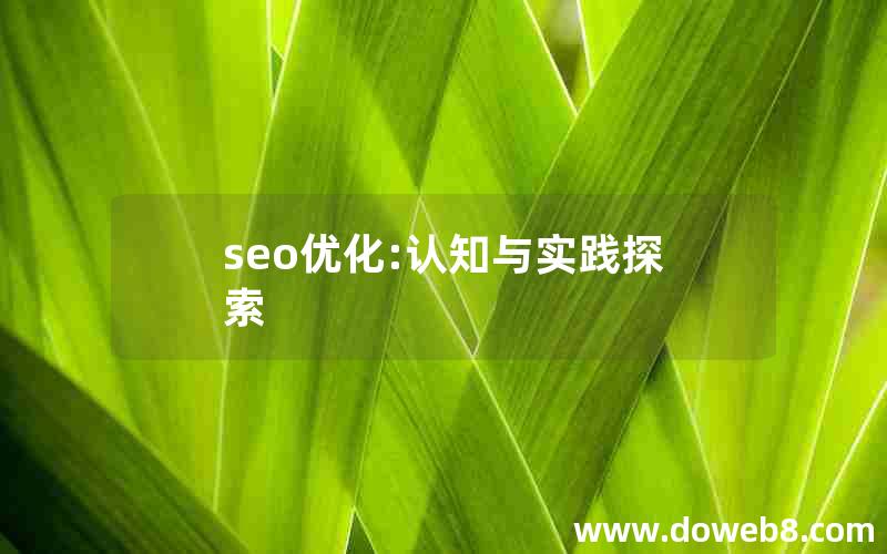 seo优化:认知与实践探索