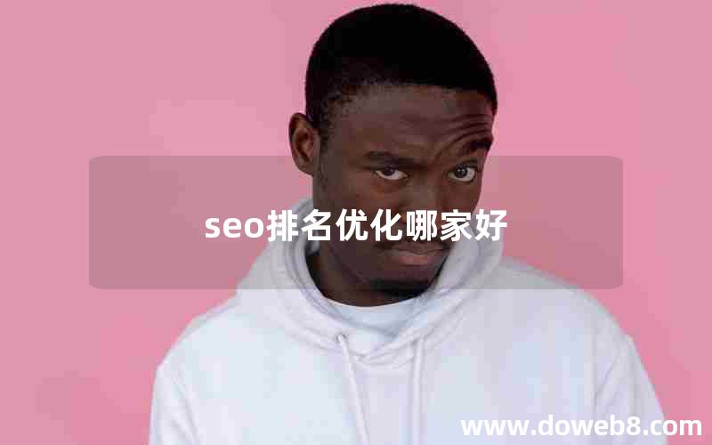 seo排名优化哪家好