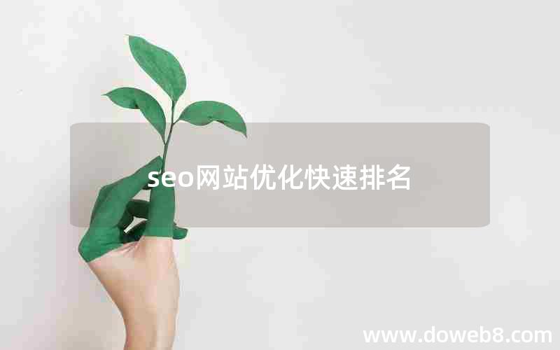 seo网站优化快速排名