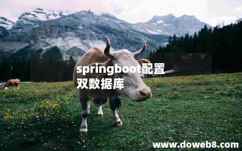 springboot配置双数据库