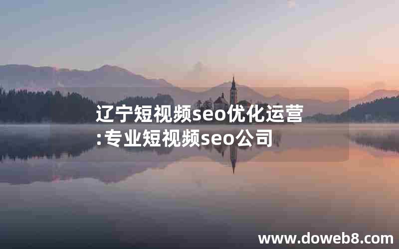 辽宁短视频seo优化运营:专业短视频seo公司