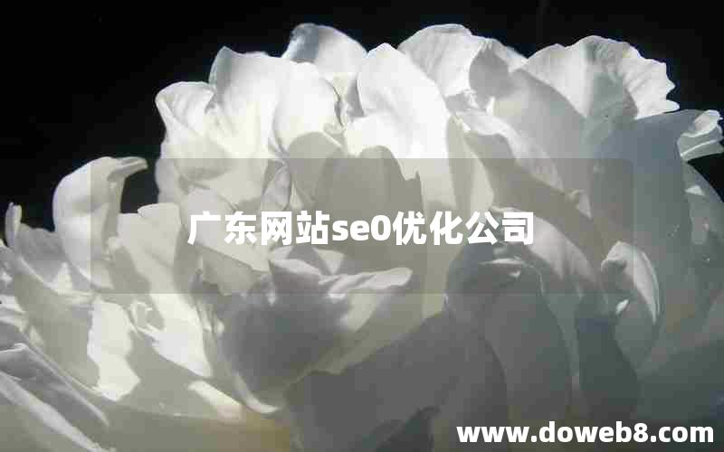 广东网站se0优化公司