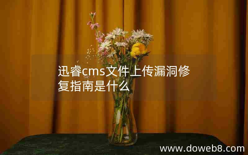 迅睿cms文件上传漏洞修复指南是什么