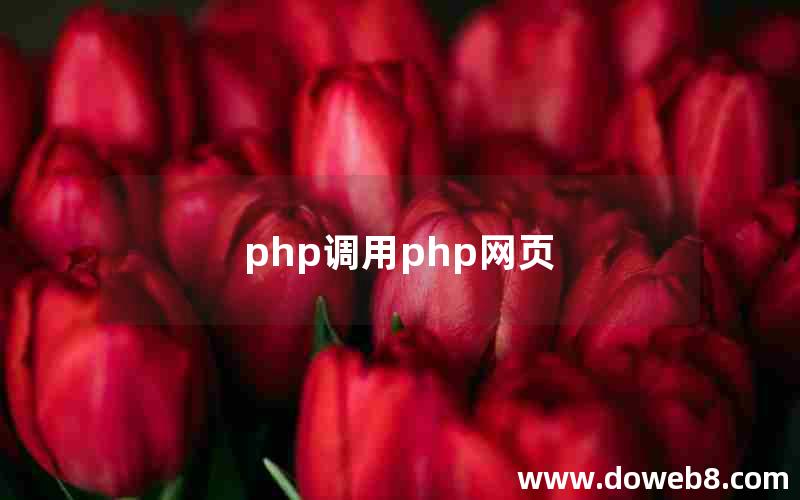 php调用php网页