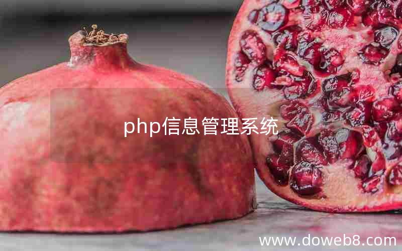 php信息管理系统