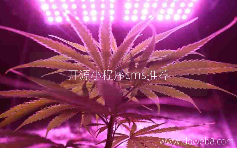 开源小程序cms推荐