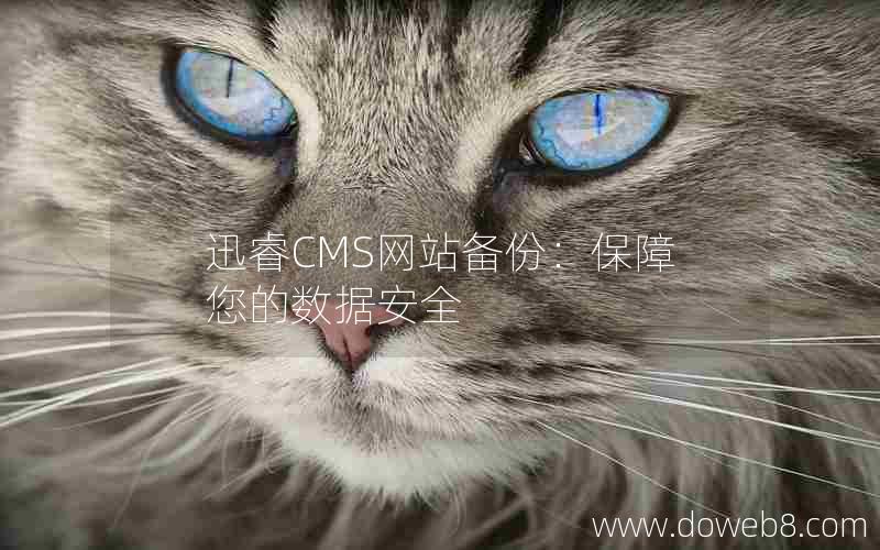 迅睿CMS网站备份：保障您的数据安全