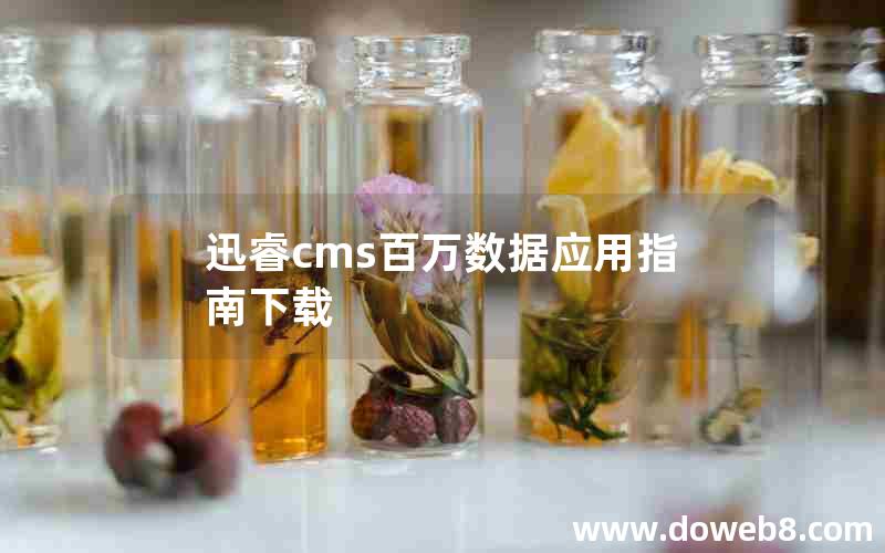 迅睿cms百万数据应用指南下载