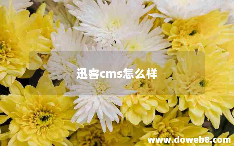 迅睿cms怎么样