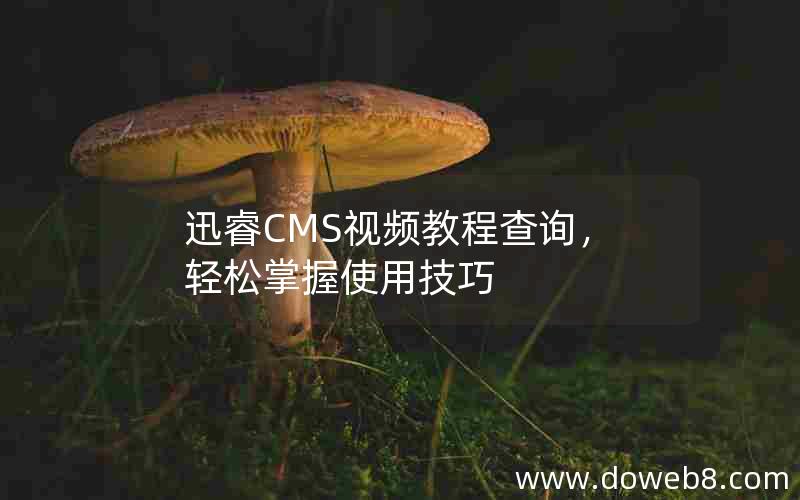 迅睿CMS视频教程查询，轻松掌握使用技巧