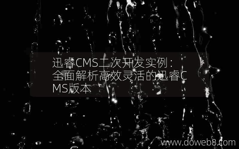 迅睿CMS二次开发实例：全面解析高效灵活的迅睿CMS版本