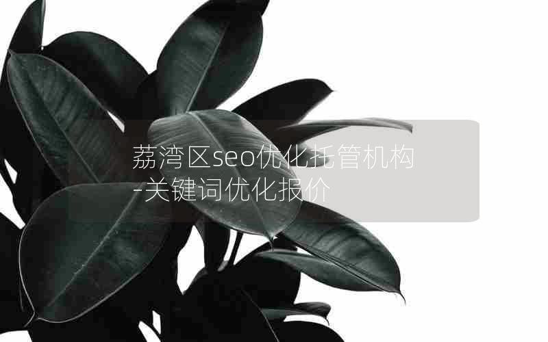 荔湾区seo优化托管机构-关键词优化报价