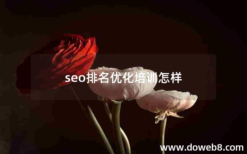 seo排名优化培训怎样