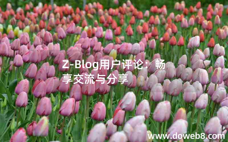 Z-Blog用户评论：畅享交流与分享