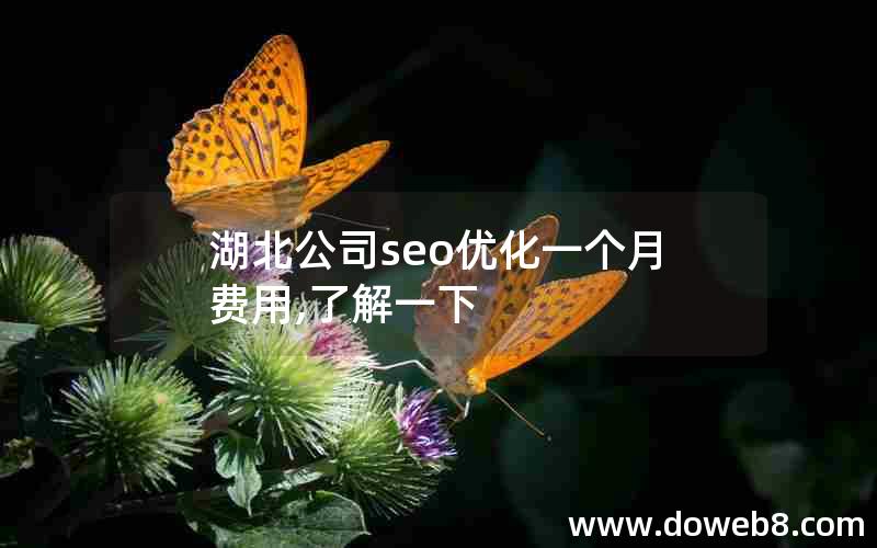 湖北公司seo优化一个月费用,了解一下